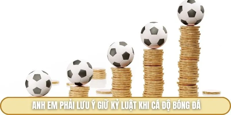 Kinh nghiệm cá độ bóng đá