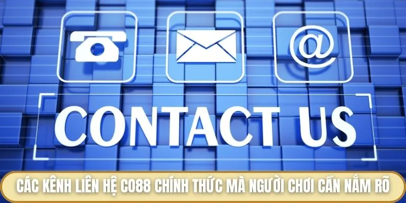 Liên Hệ Co88 - Cách Kết Nối Nào Mang Đến Hiệu Quả Tốt Nhất? Các kênh liên hệ Co88 chính thức mà người chơi cần nắm rõ