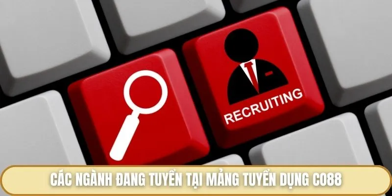 Tuyển Dụng Co88 - Trao Cơ Hội Việc Làm Hot Hit Đáng Thử 2025 Các ngành đang tuyển tại mảng tuyển dụng Co88