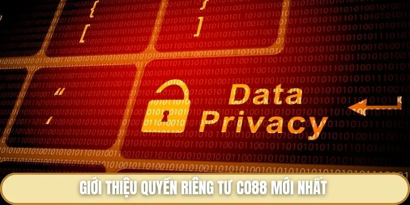 Quyền Riêng Tư Co88 - Các Điều Khoản Mang Tính Bảo Mật Cần Biết Giới thiệu quyền riêng tư Co88 mới nhất