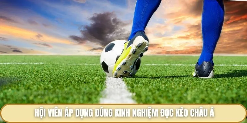 Kinh nghiệm cá độ bóng đá