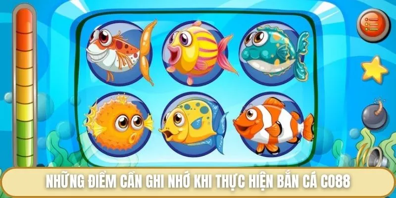 Bắn Cá Co88 - Siêu Phẩm Săn Cá Nổi Bật Hàng Đầu Hiện Nay Những điểm cần ghi nhớ khi thực hiện bắn cá Co88