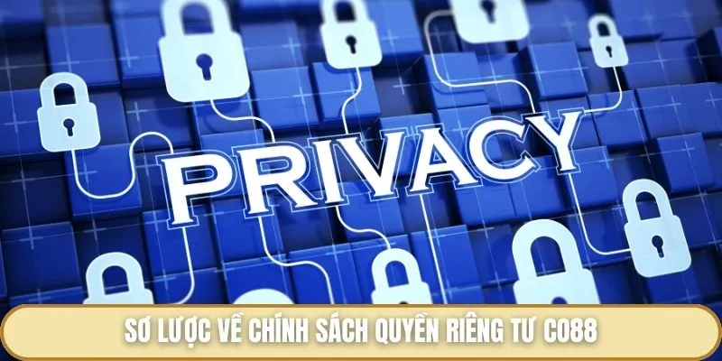 Quyền Riêng Tư Co88 - Các Điều Khoản Mang Tính Bảo Mật Cần Biết Sơ lược về chính sách quyền riêng tư Co88