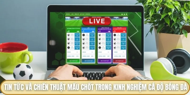 Kinh nghiệm cá độ bóng đá