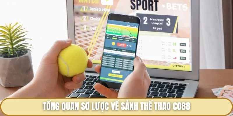 Tổng quan sơ lược về sảnh thể thao Co88