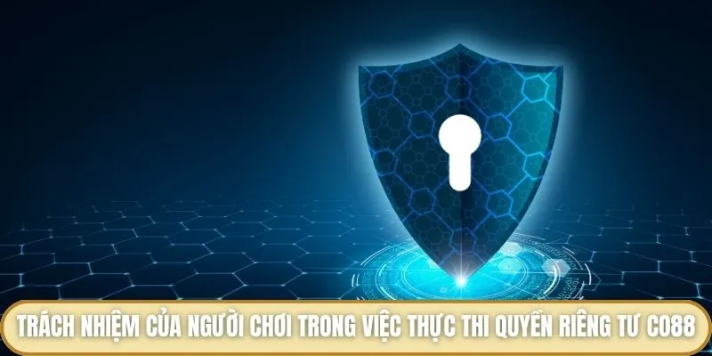 Quyền Riêng Tư Co88 - Các Điều Khoản Mang Tính Bảo Mật Cần Biết Trách nhiệm của người chơi trong việc thực thi quyền riêng tư Co88
